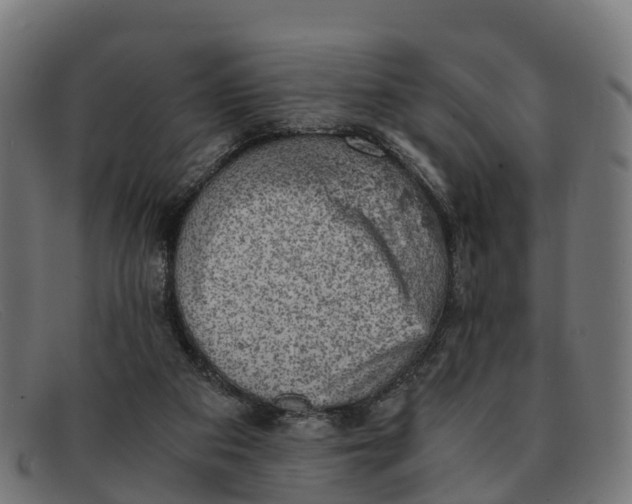 X0000091650113200709131458