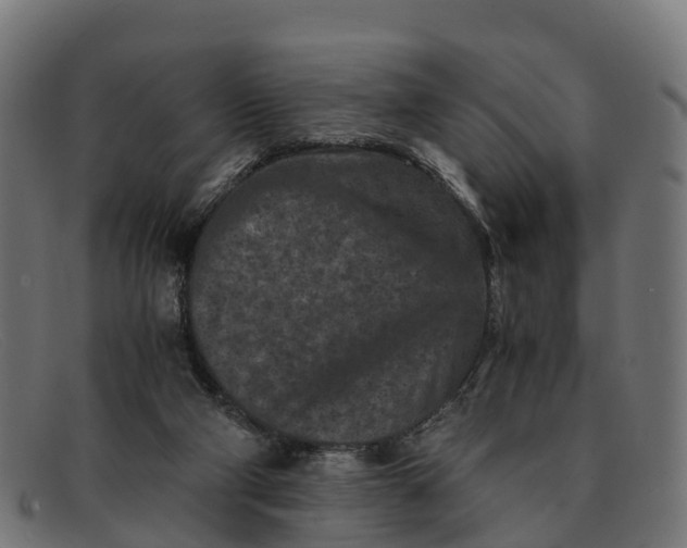 X0000091650114200709131458