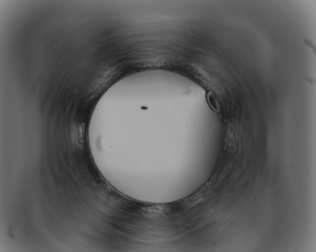 X0000091650118200709131458