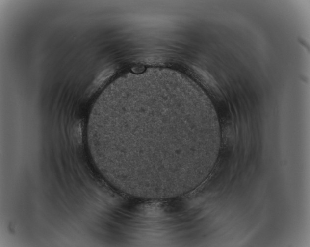 X0000091650120200709131458