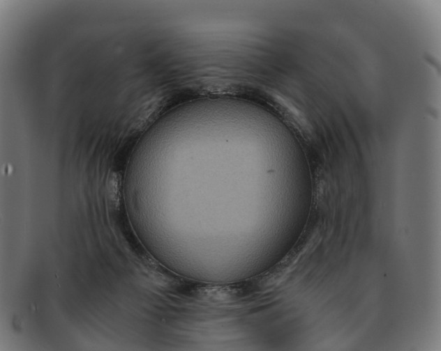 X0000091650121200709131458