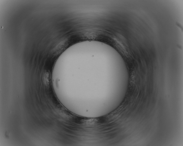 X0000091650122200709131458