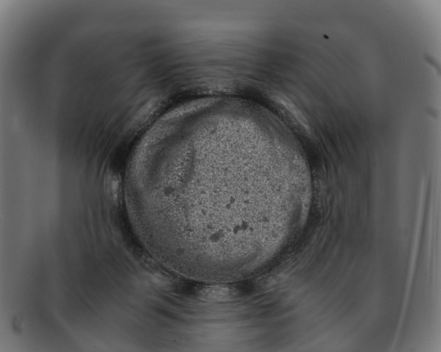 X0000091650123200709131458