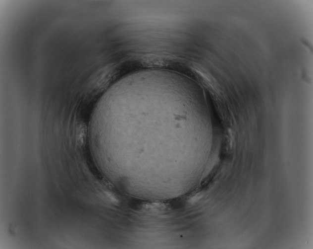 X0000091650125200709131458