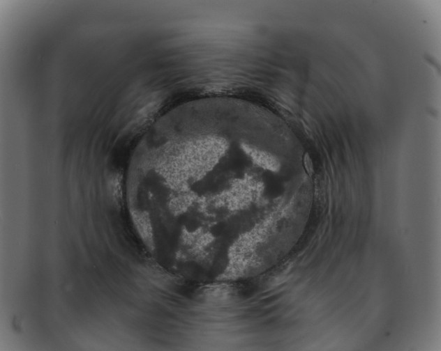 X0000091650127200709131458