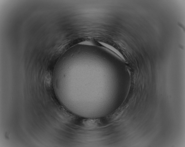 X0000091650129200709131458