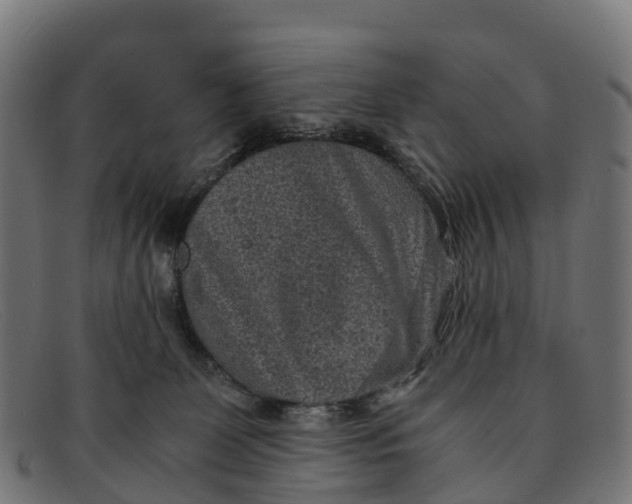 X0000091650131200709131458