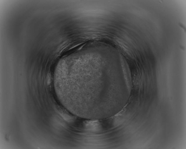 X0000091650132200709131458