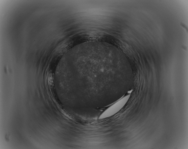 X0000091650137200709131458