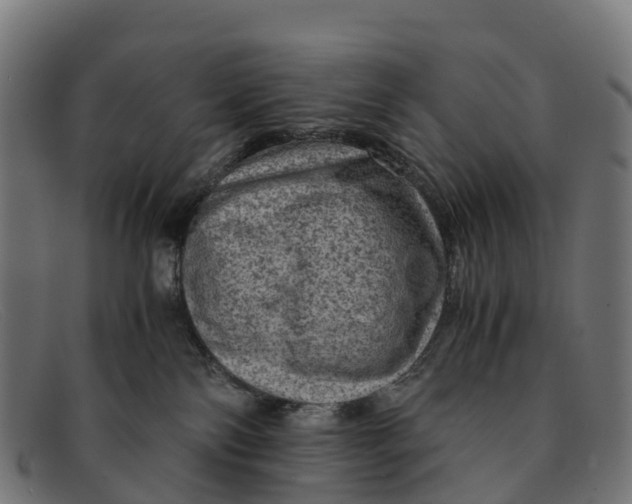 X0000091650138200709131458