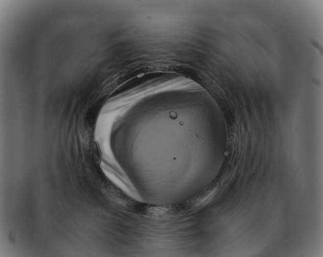 X0000091650139200709131458