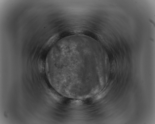 X0000091650140200709131458