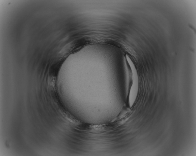 X0000091650141200709131458