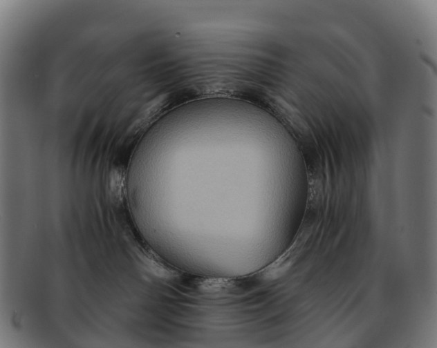 X0000091650142200709131458