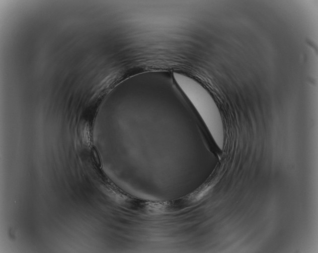 X0000091650143200709131458