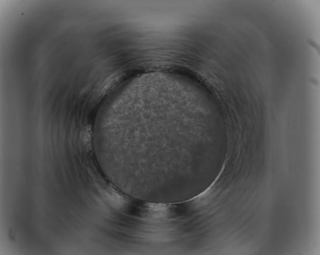 X0000091650144200709131458