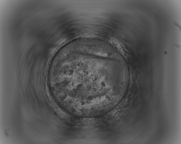 X0000091650145200709131457