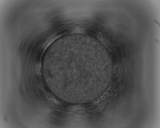 X0000091650146200709131457