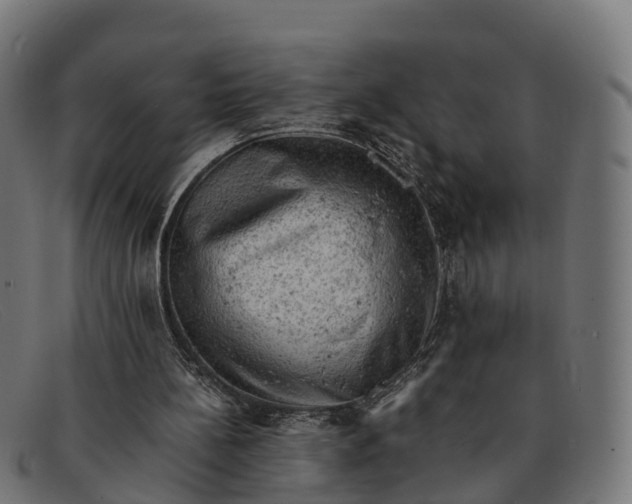 X0000091650148200709131457