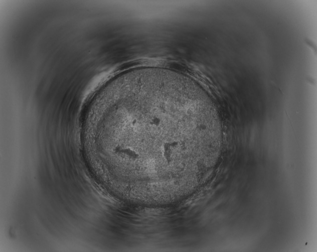 X0000091650149200709131457