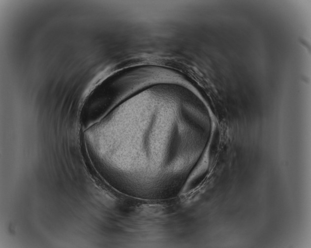 X0000091650150200709131457