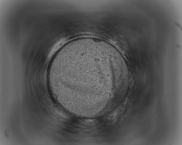 X0000091650151200709131457