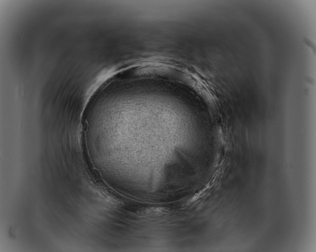 X0000091650152200709131457