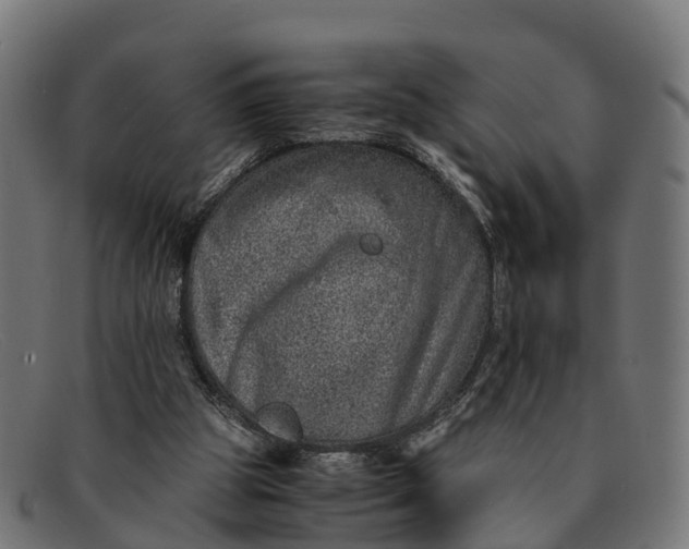 X0000091650153200709131457