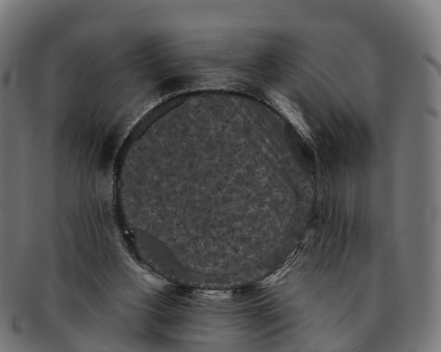 X0000091650156200709131457