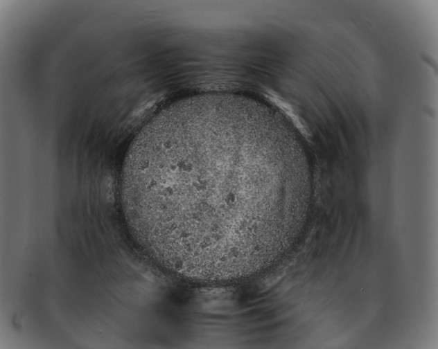 X0000091650161200709131457