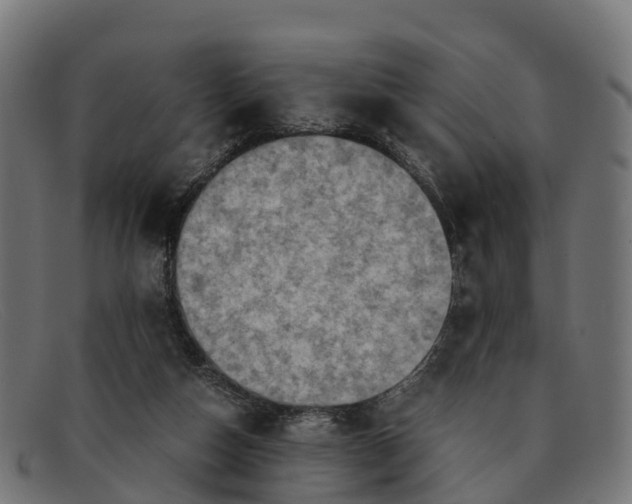 X0000091650162200709131457