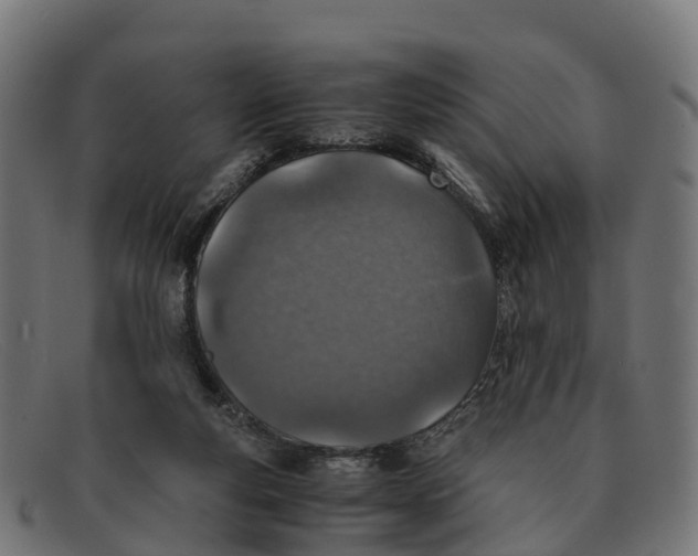 X0000091650163200709131457