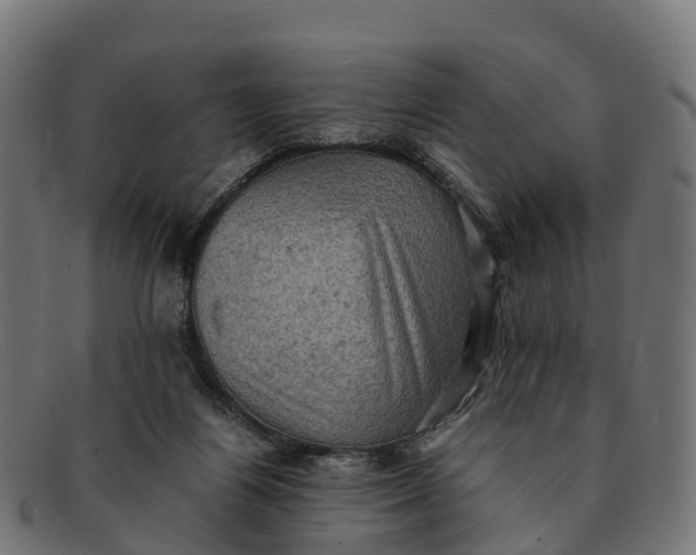 X0000091650164200709131457