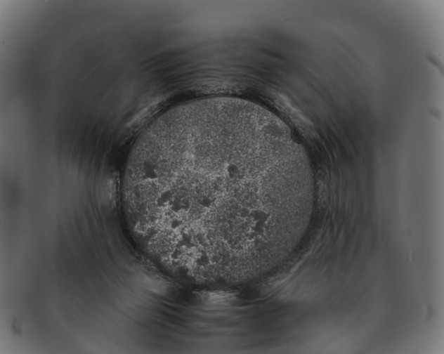 X0000091650165200709131457