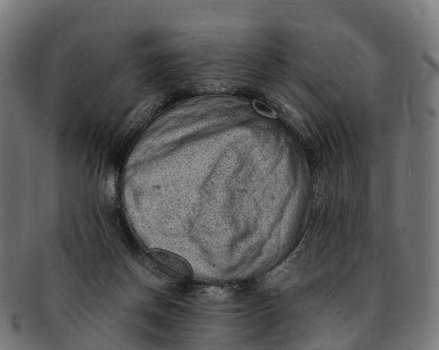 X0000091650166200709131457