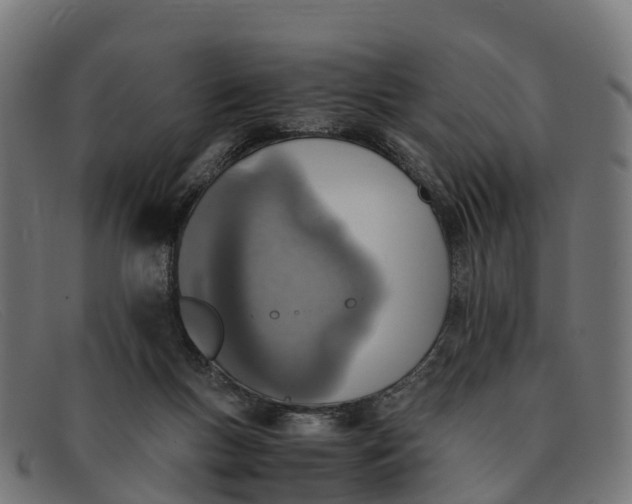 X0000091650167200709131457