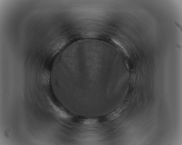 X0000091650168200709131457