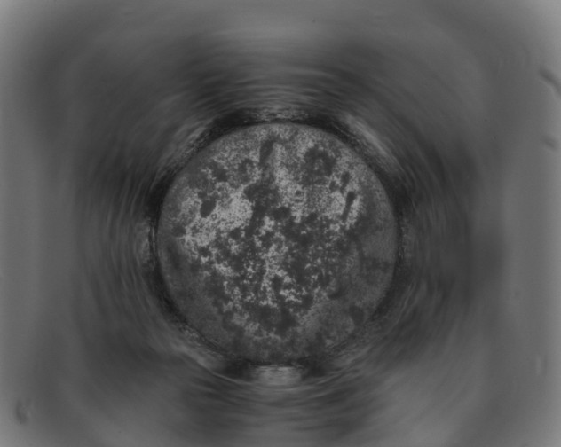 X0000091650169200709131457