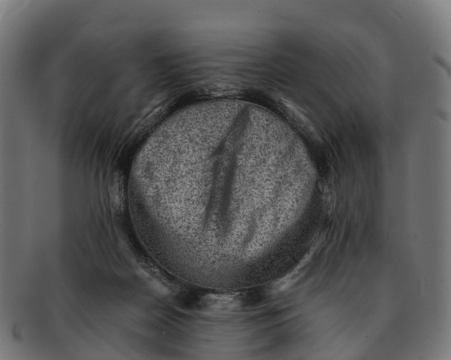 X0000091650170200709131457