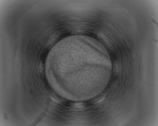 X0000091650173200709131457