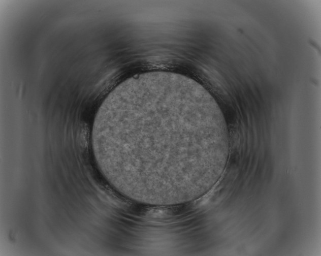 X0000091650174200709131457