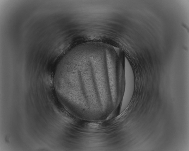 X0000091650176200709131457