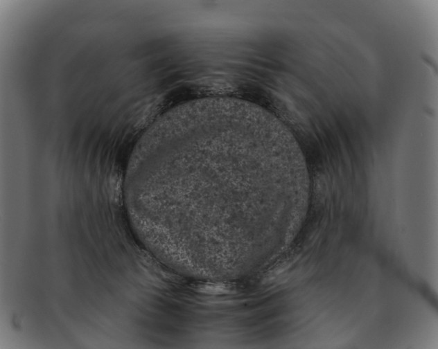 X0000091650177200709131457