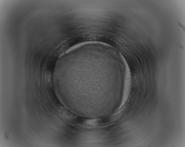 X0000091650178200709131457