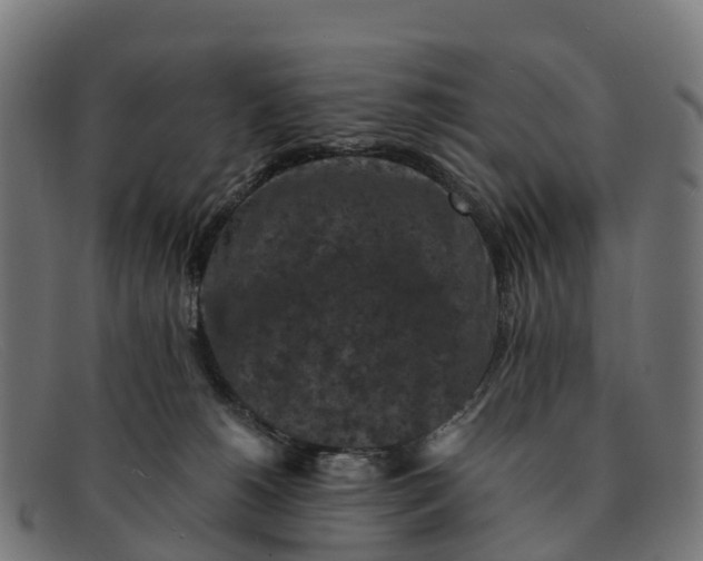 X0000091650180200709131457