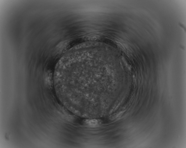 X0000091650181200709131457