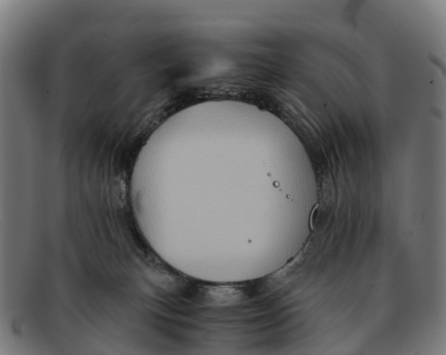 X0000091650183200709131458