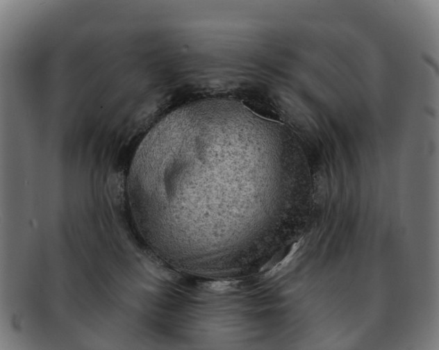 X0000091650184200709131458