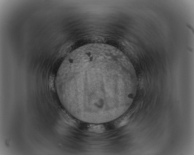 X0000091650185200709131458