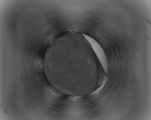 X0000091650186200709131458